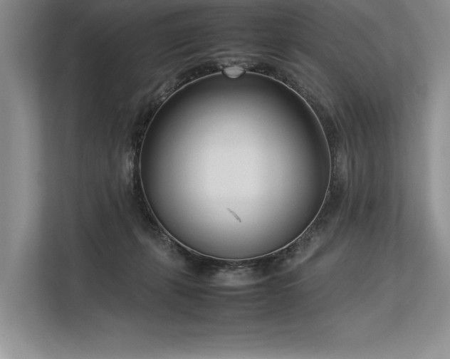 X0000113350271200909221150