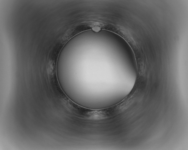 X0000113350273200909221150