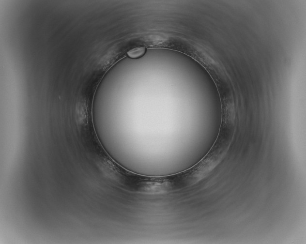 X0000113350274200909221150