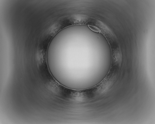 X0000113350276200909221150