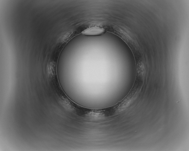 X0000113350280200909221150