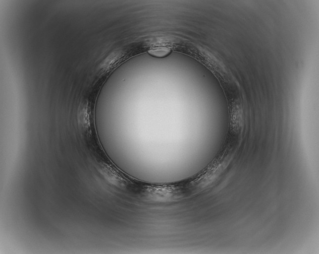 X0000113350282200909221150
