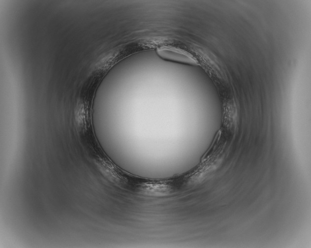 X0000113350284200909221150