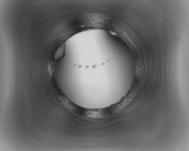 X0000113350285200909221150