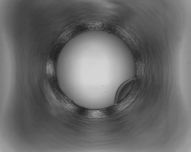 X0000113350287200909221150