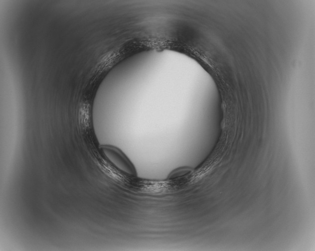 X0000113350288200909221150
