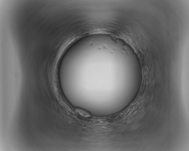 X0000113350289200909221149