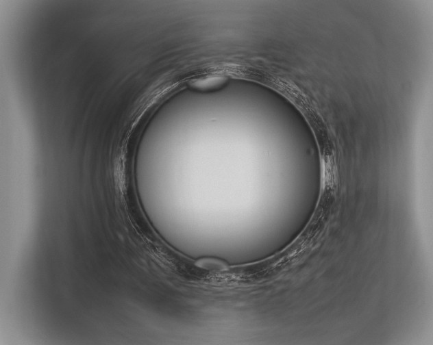 X0000113350291200909221149