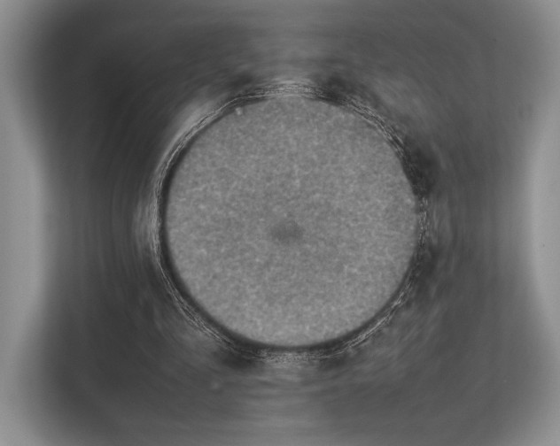 X0000113350293200909221149