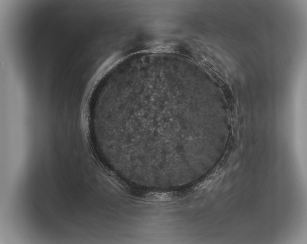 X0000113350295200909221149