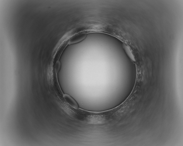 X0000113350296200909221149