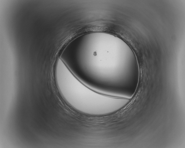 X0000113350297200909221149