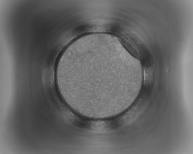 X0000113350301200909221149