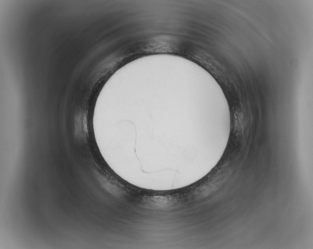 X0000113350302200909221149