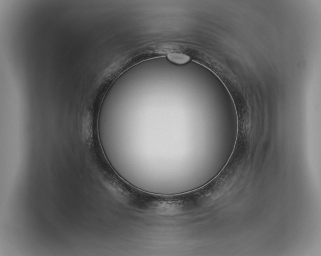 X0000113350303200909221149