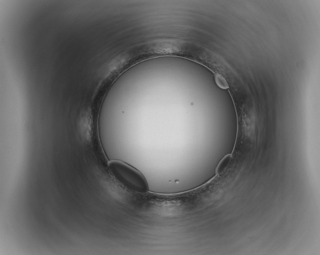 X0000113350304200909221149