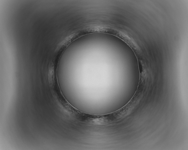 X0000113350306200909221149