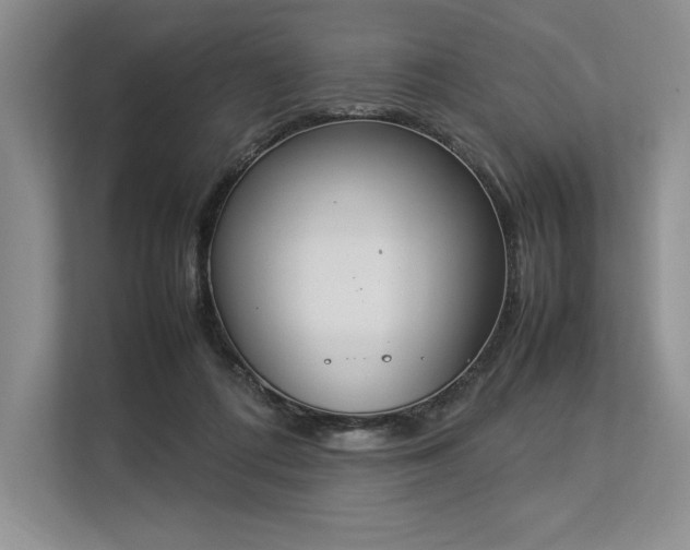 X0000113350312200909221149