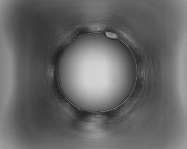 X0000113350315200909221149