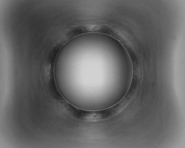 X0000113350319200909221149