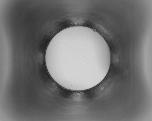 X0000113350321200909221149