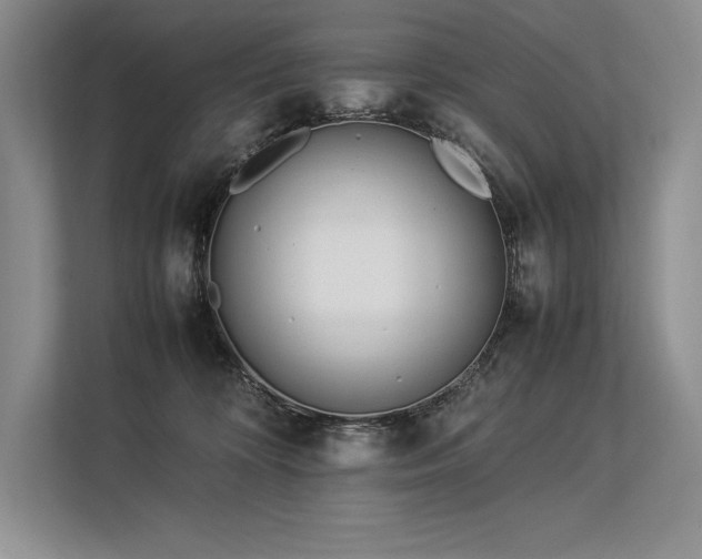 X0000113350324200909221149