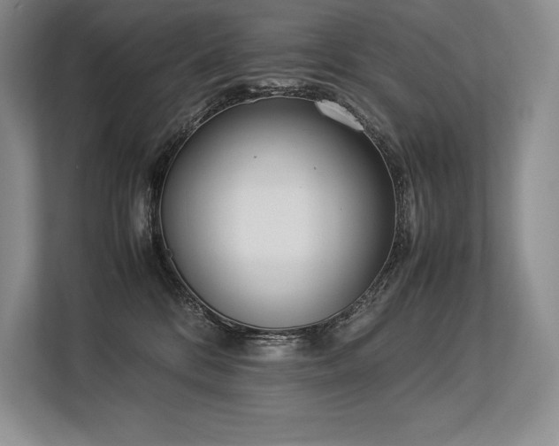 X0000113350328200909221149
