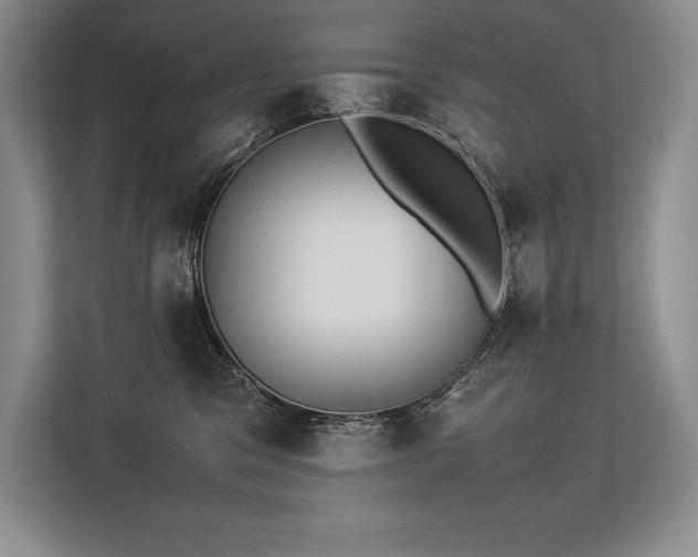 X0000113350329200909221149