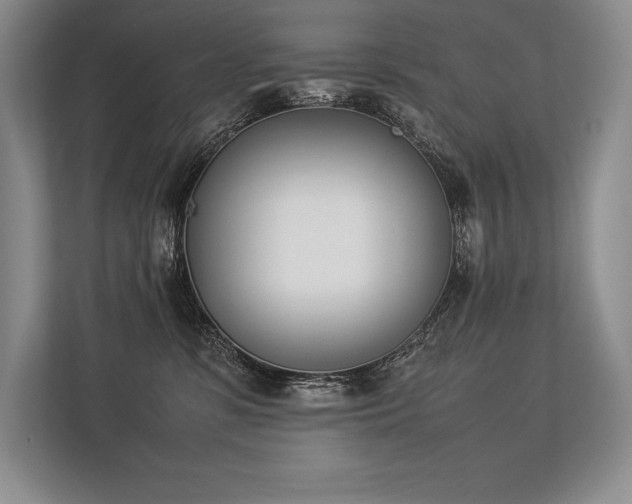 X0000113350331200909221149