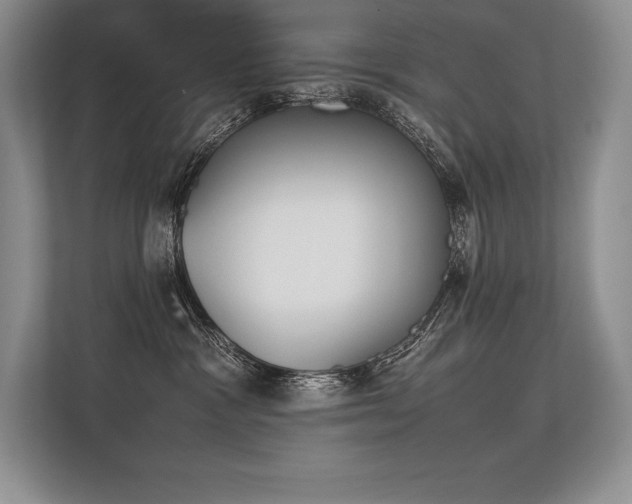 X0000113350333200909221149