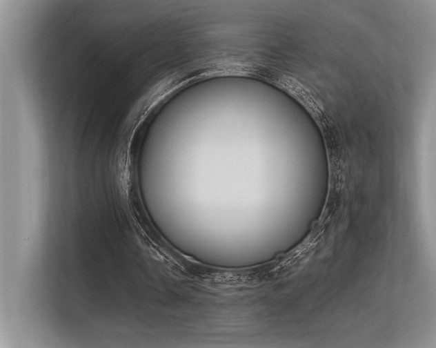 X0000113350338200909221148