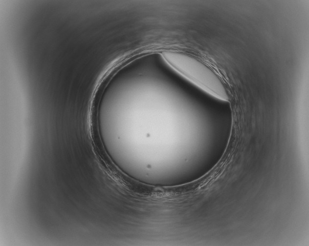 X0000113350340200909221148