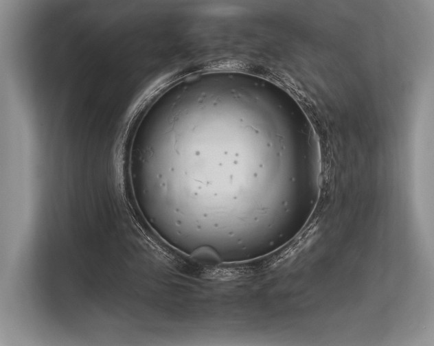 X0000113350341200909221148
