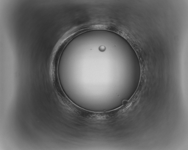 X0000113350343200909221148