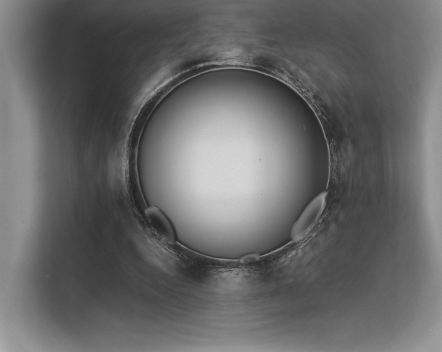 X0000113350344200909221148