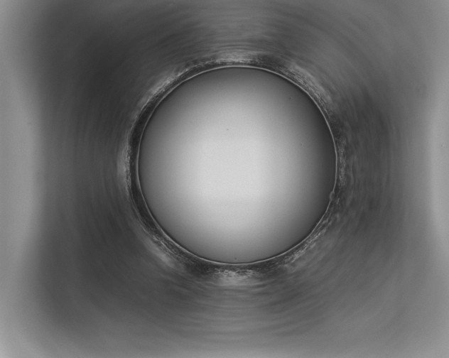 X0000113350346200909221148