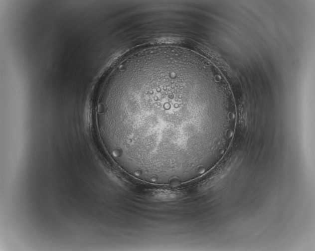 X0000113350347200909221148