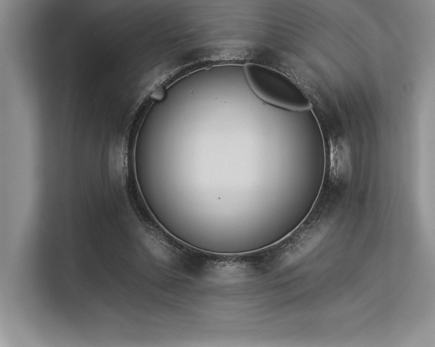 X0000113350348200909221148