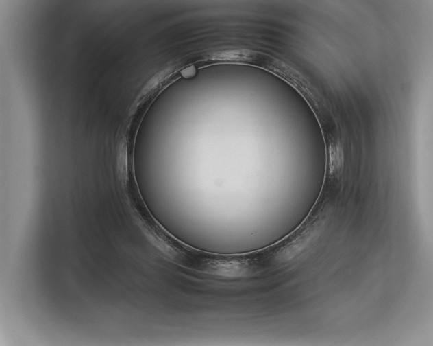 X0000113350349200909221148