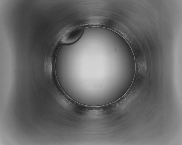 X0000113350350200909221148