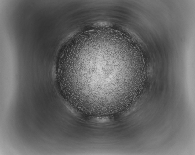 X0000113350353200909221148