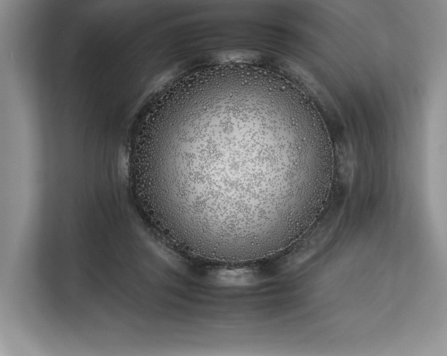 X0000113350357200909221148