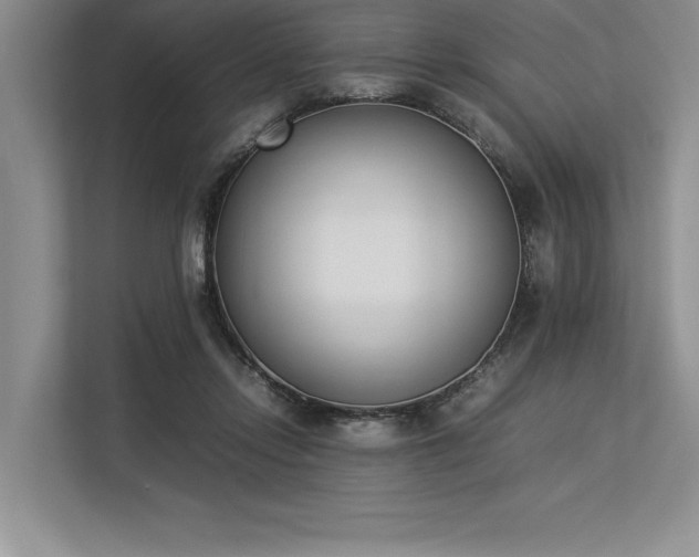 X0000113350358200909221149