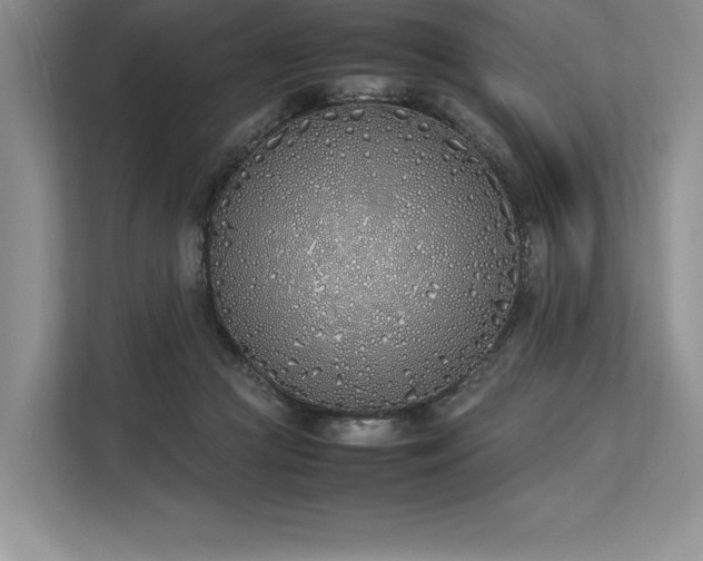 X0000113350361200909221149