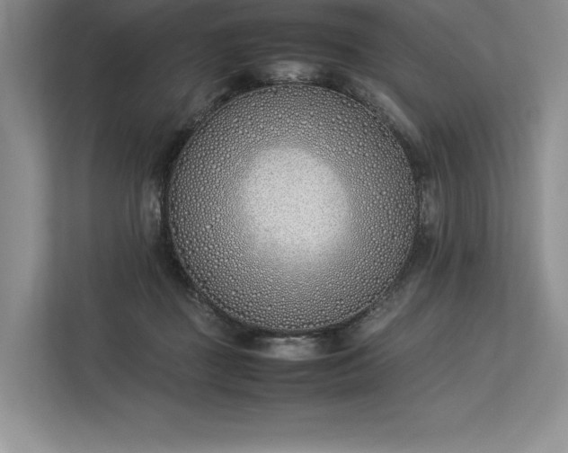 X0000113350363200909221149