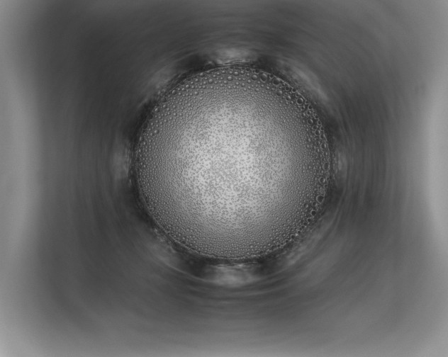 X0000113350367200909221149