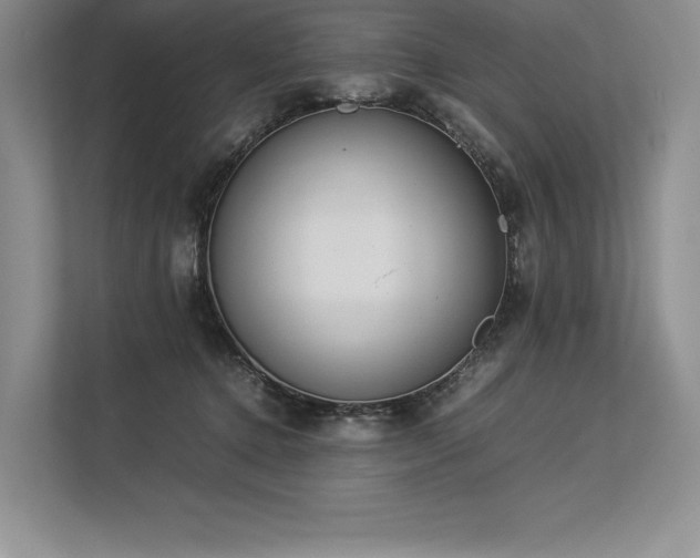 X0000113350368200909221149