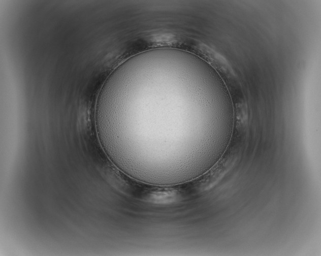 X0000113350369200909221149
