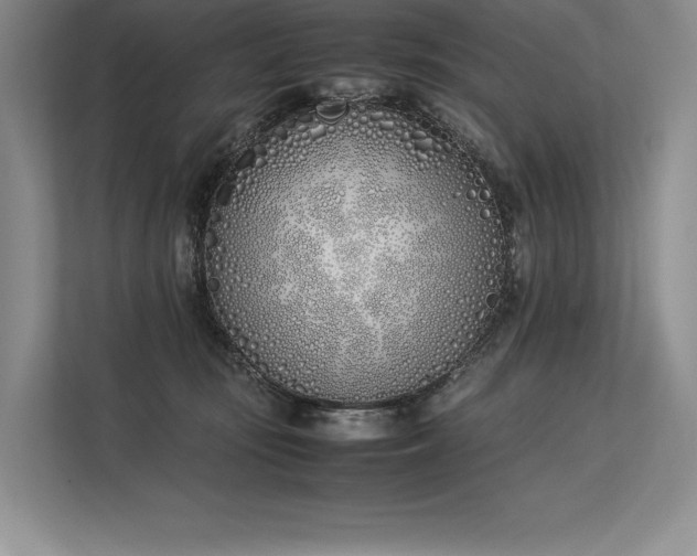 X0000113350371200909221149