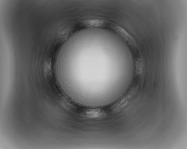 X0000113350377200909221149